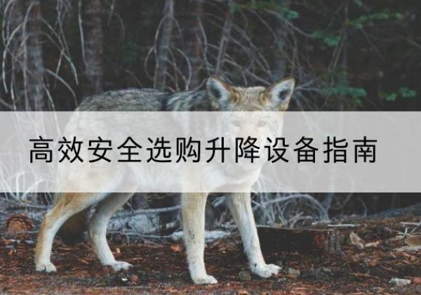 木里升降货梯厂家推荐-*安全选购升降设备指南