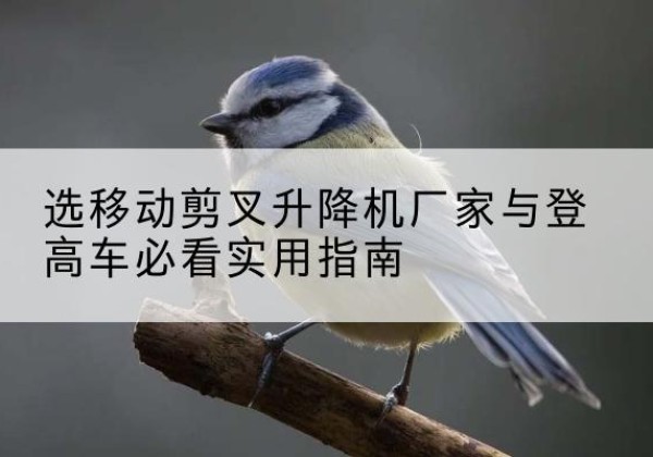 木里电动升降机厂家-选移动剪叉升降机厂家与登高车必看实用指南