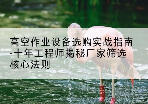 木里剪叉式升降机厂家-高空作业设备选购实战指南-十年工程师揭秘厂家筛选核心法则